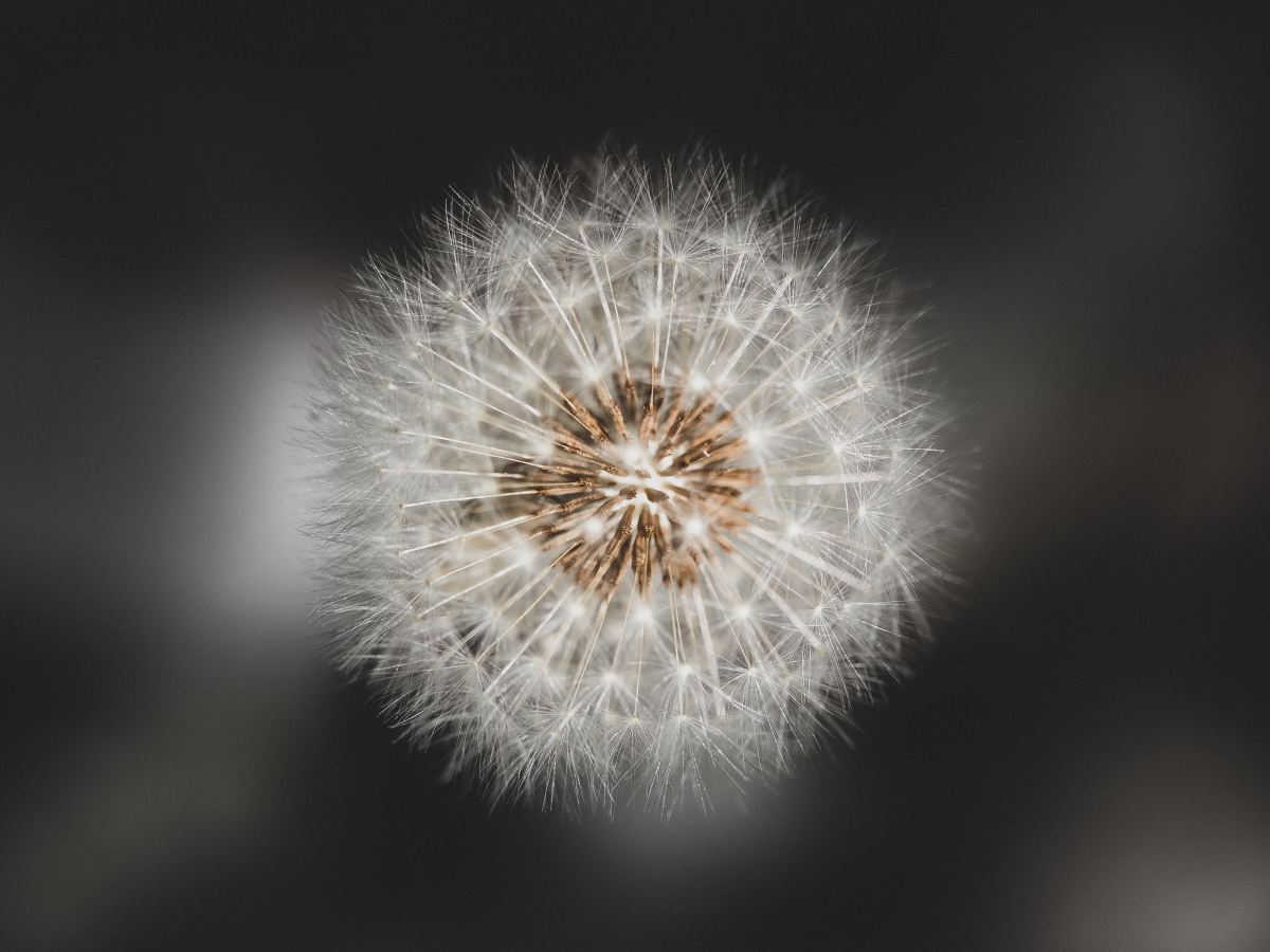 Anxiety Meditation Audio – Created by Clinical Psychologist Dr Erin Hope Thompson