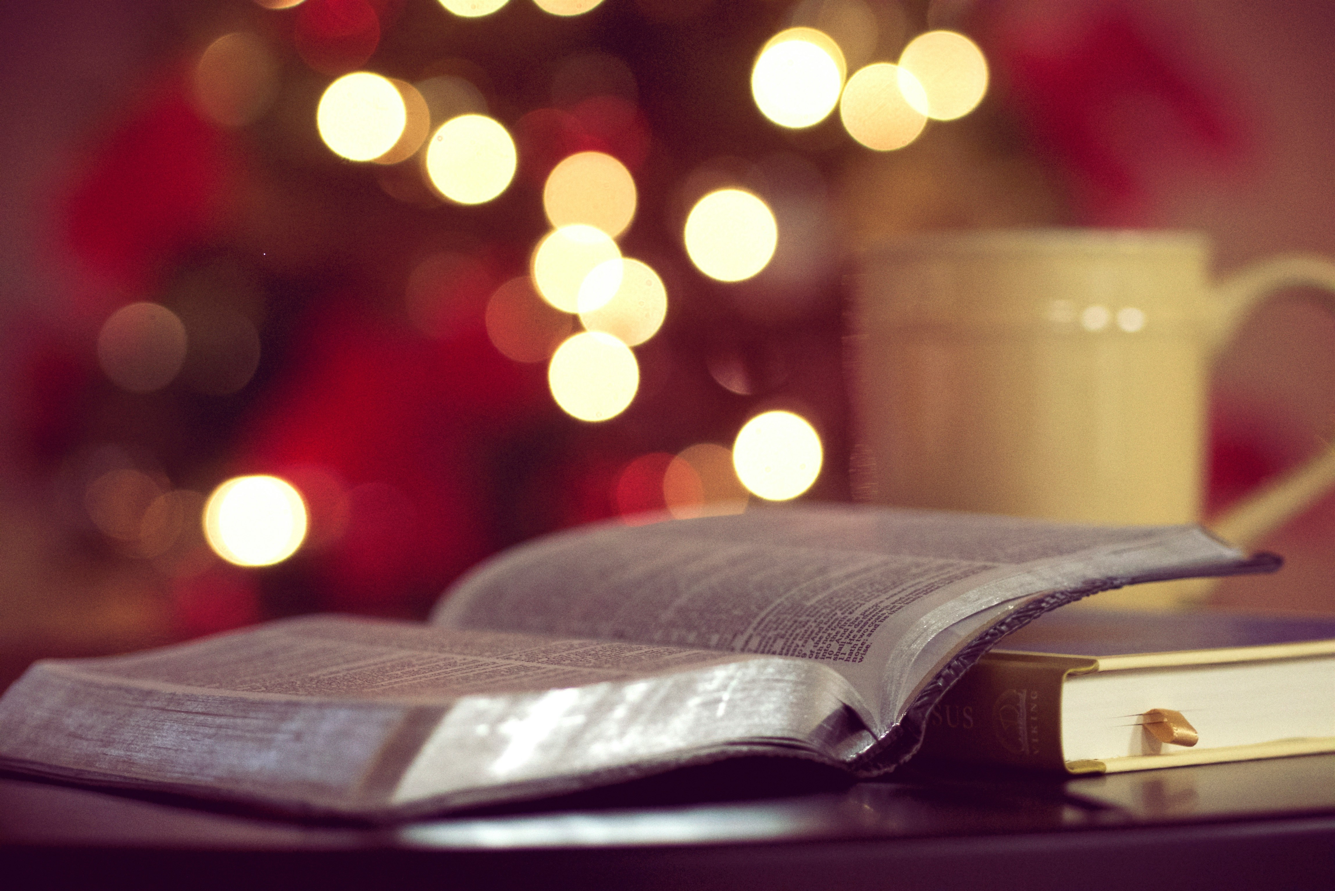 📚 Books for Grief – Advent – Day Nine