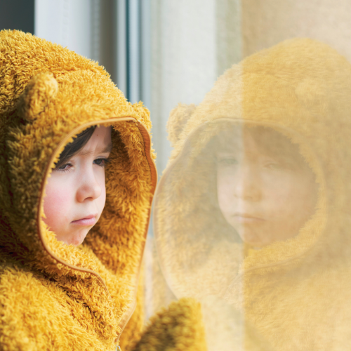 Supporting Bereaved Children in Schools: New Resources Coming Soon